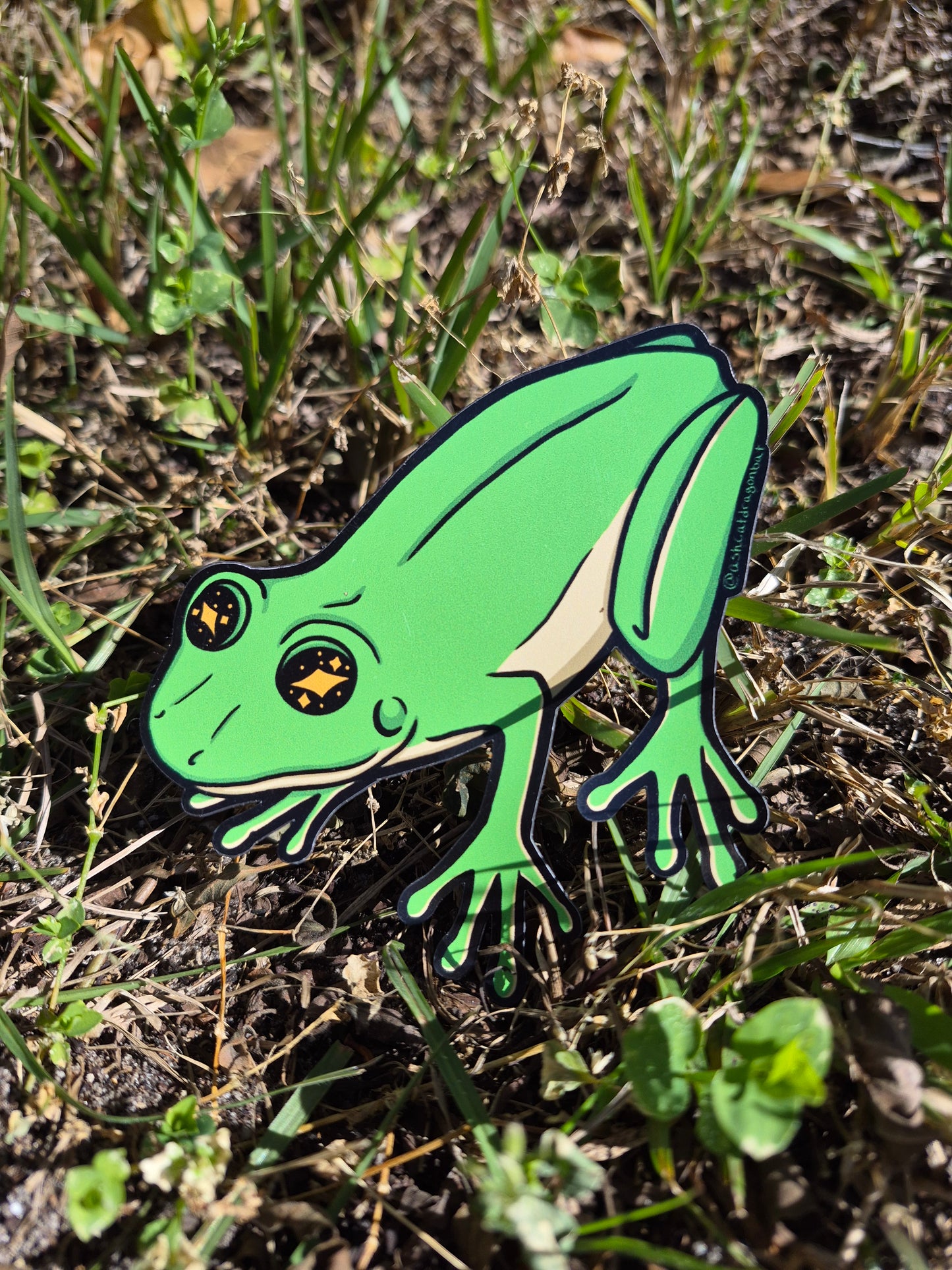 Green Tree Frog 5" Car Magnet