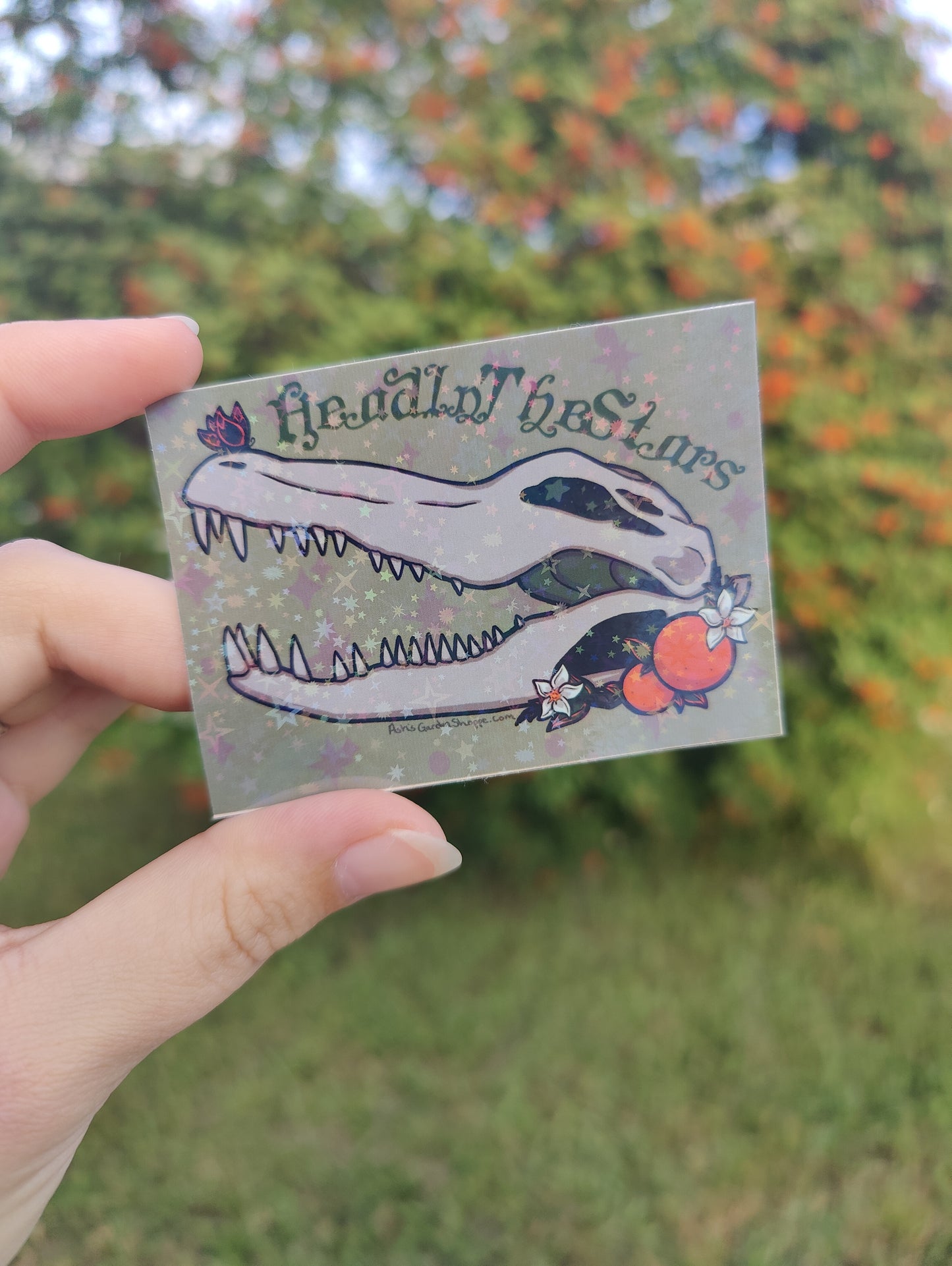 "Head in the Stars" Alligator Skull 3" Holographic Sticker