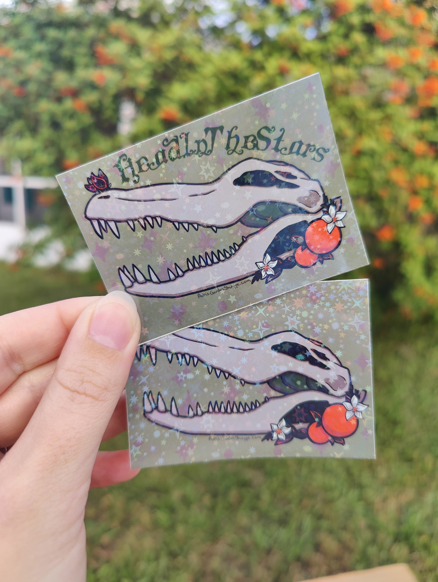 "Head in the Stars" Alligator Skull 3" Holographic Sticker