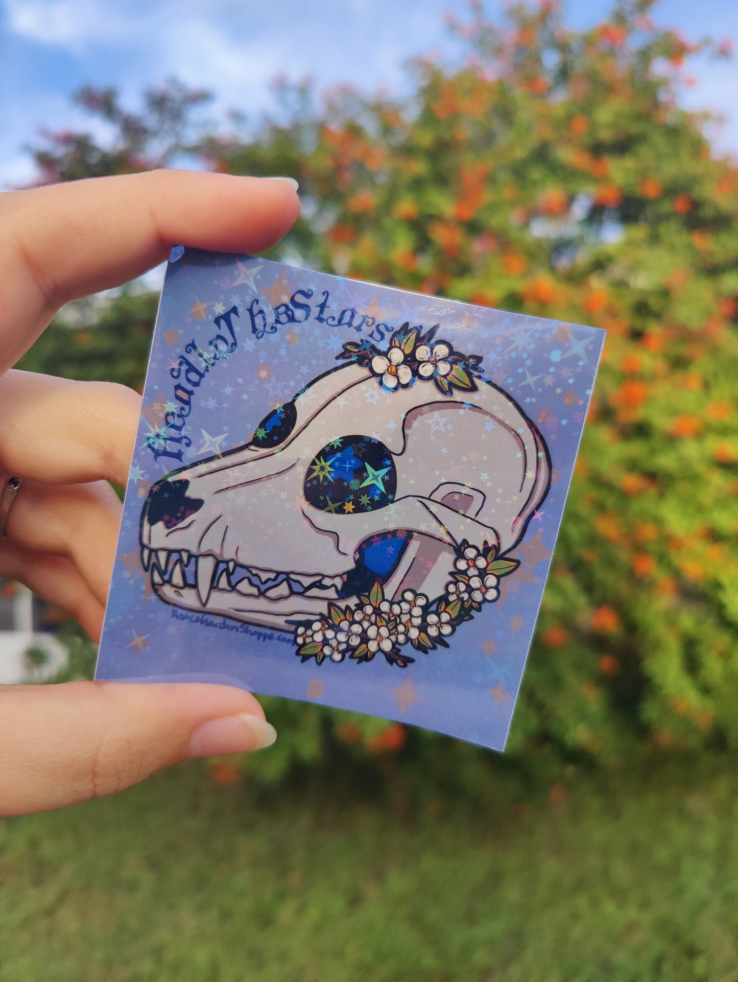 "Head in the Stars" Canine Skull 3" Holographic Sticker