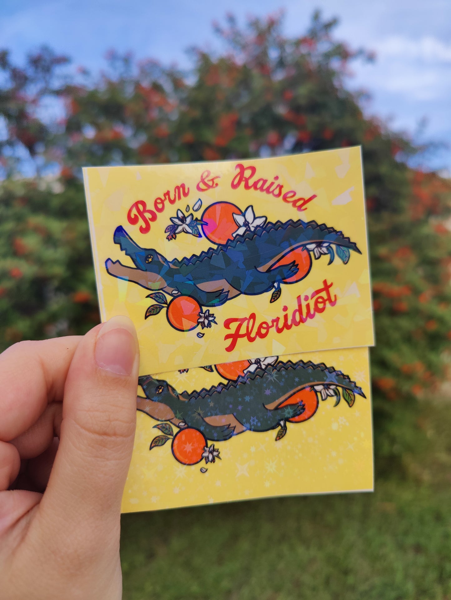 "Born and Raised Floridiot" Alligator 3" Holographic Sticker