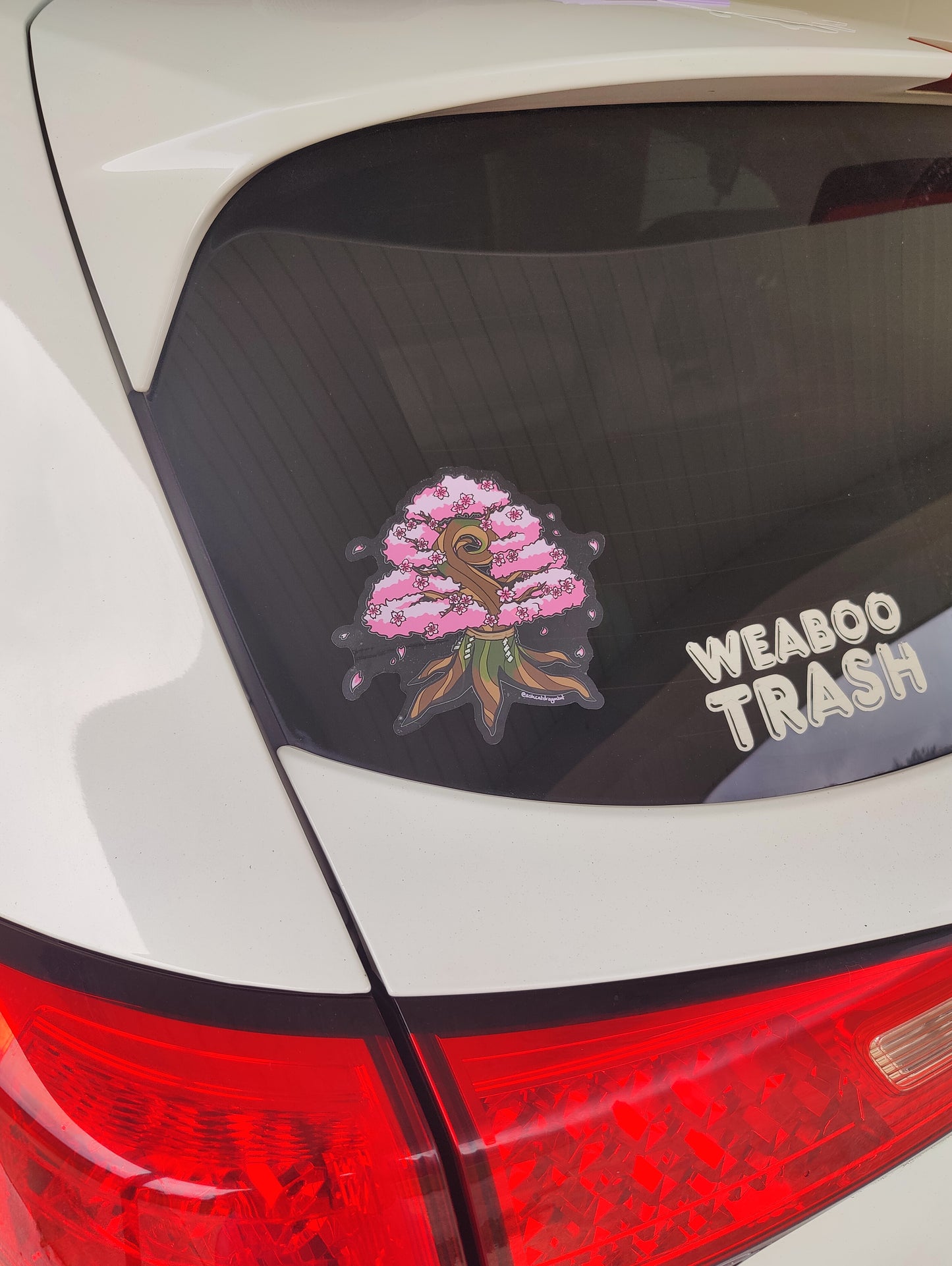 Cherry Blossom Sapling 5" Clear Matte Car Sticker