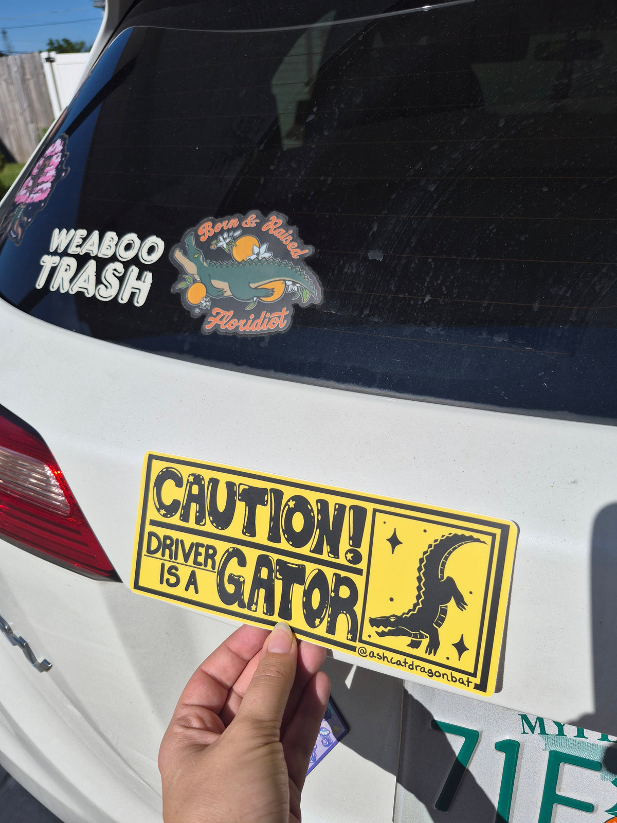 "CAUTION! Driver is a Gator!" 8" Matte Bumper Sticker