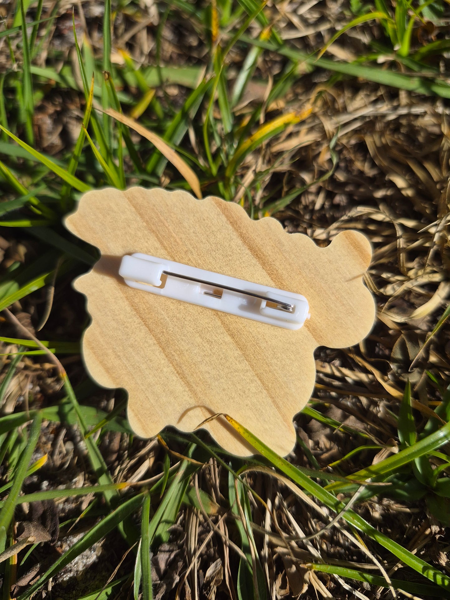 Swamp Life 2.5" Wooden Pin Badge