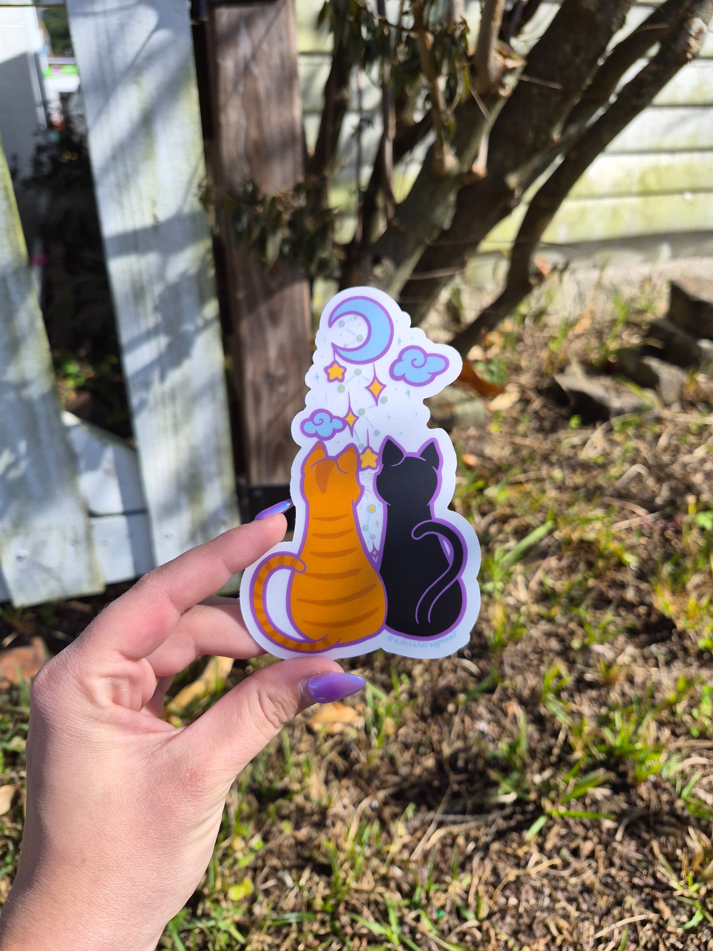 Cat-Stellation 5" Clear Matte Car Sticker