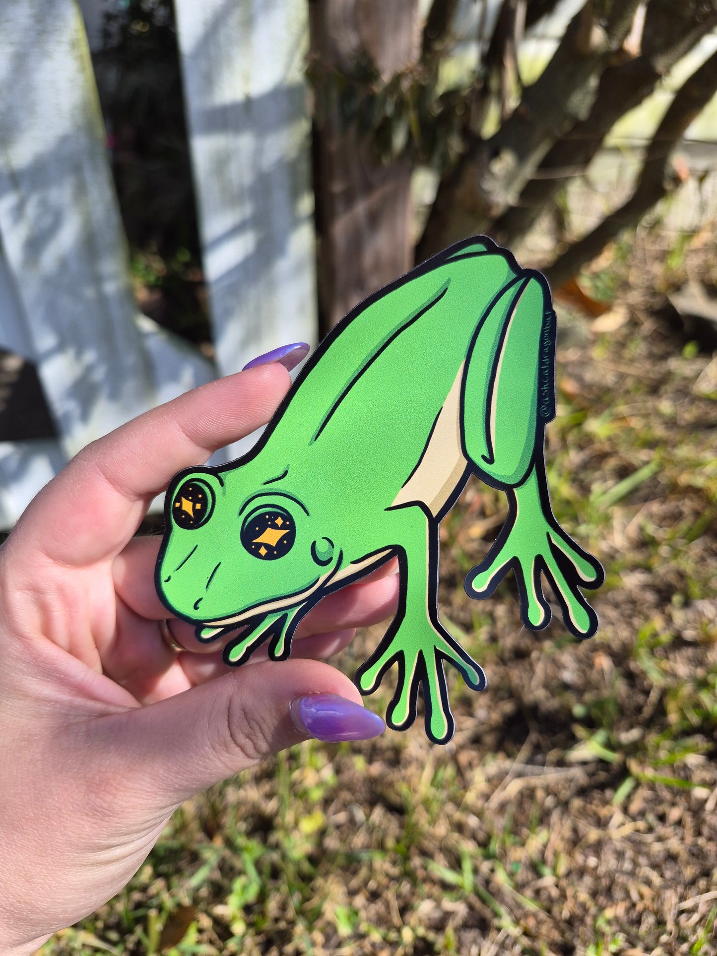 Green Tree Frog 5" Car Magnet