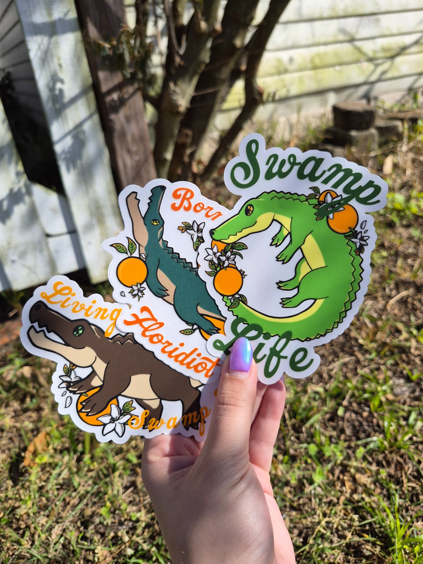 Alligators 5" Clear Matte Car Sticker Pack