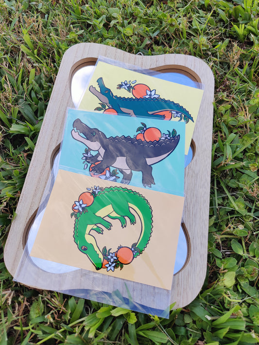 Alligator & Crocodile 4x6 Glossy Art Prints Bundle