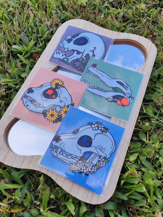 Nature Skulls 4x4 Glossy Art Prints Bundle