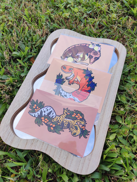 Gecko 4x6 Glossy Art Prints Bundle