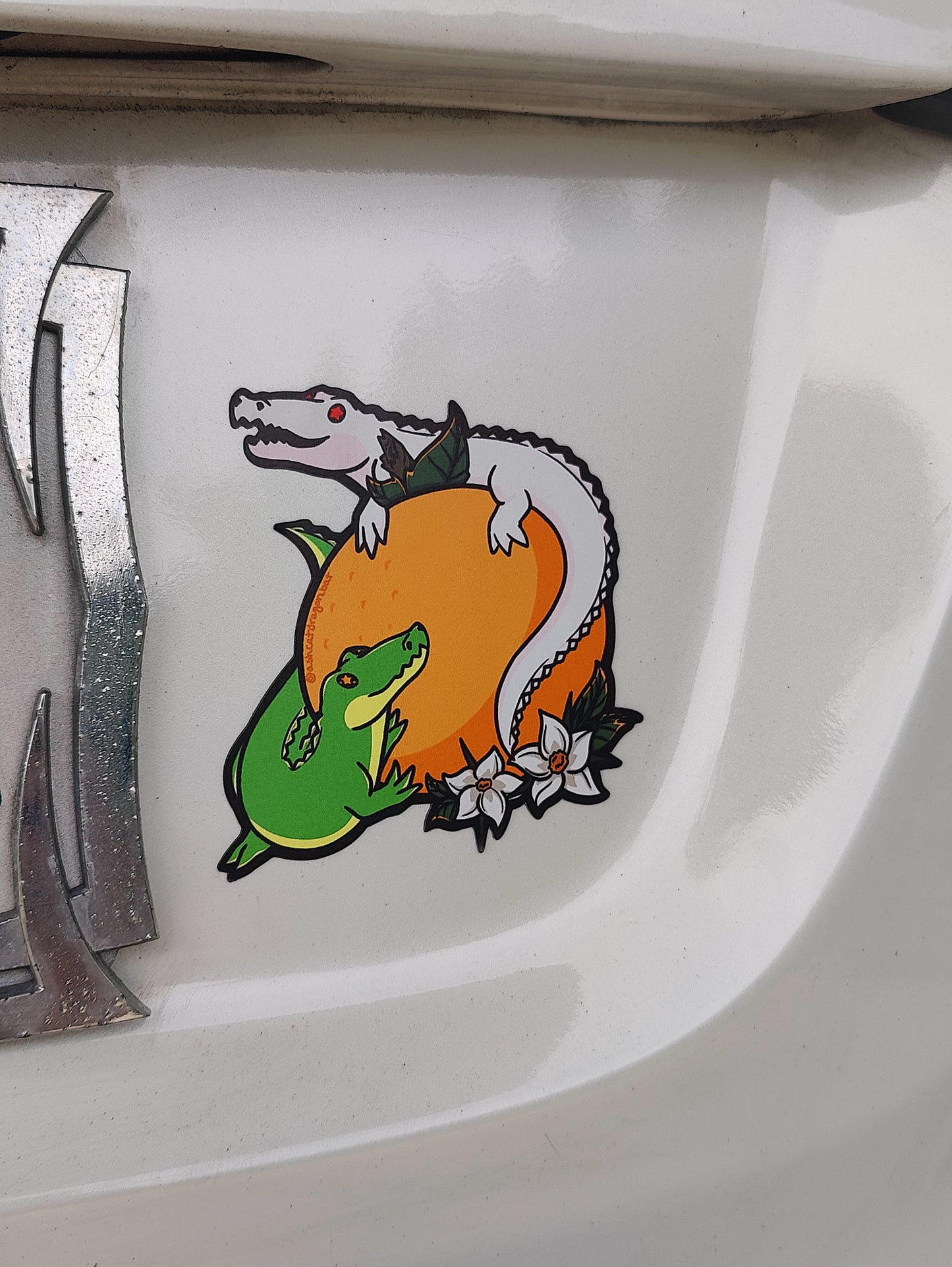 Baby Alligators and Orange 4" Car Magnet