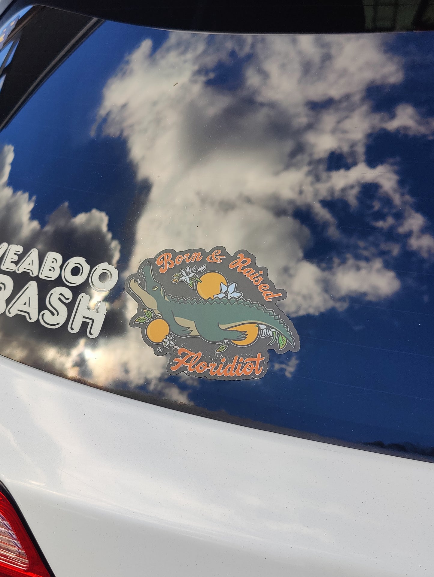 "Born & Raised Floridiot" Alligator 5" Clear Matte Car Sticker
