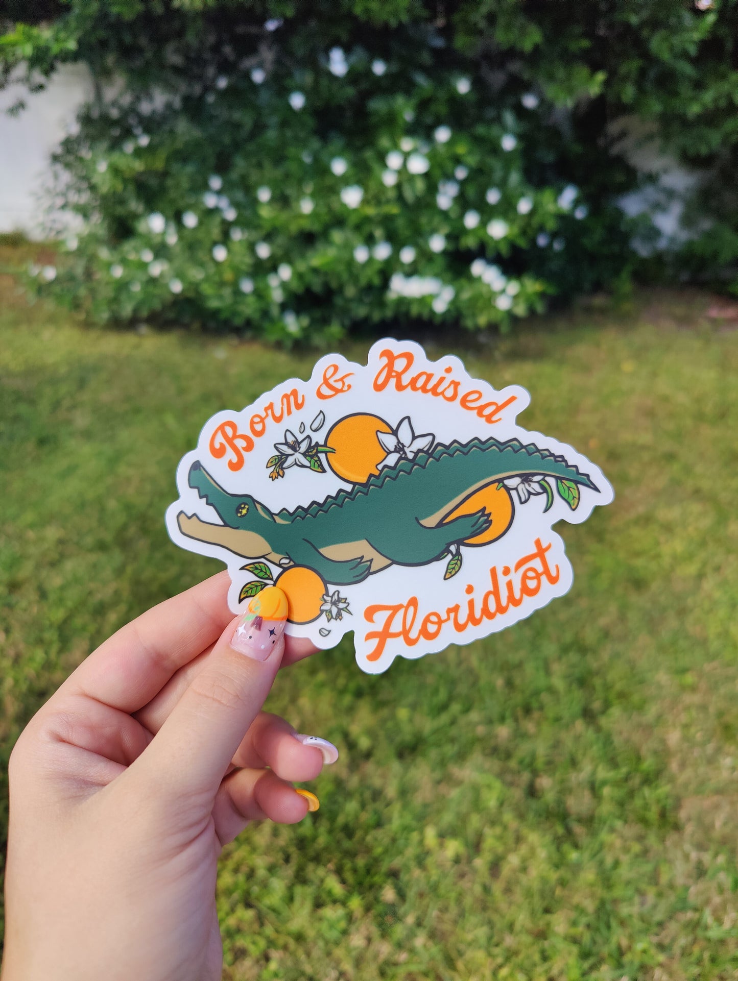 "Born & Raised Floridiot" Alligator 5" Clear Matte Car Sticker