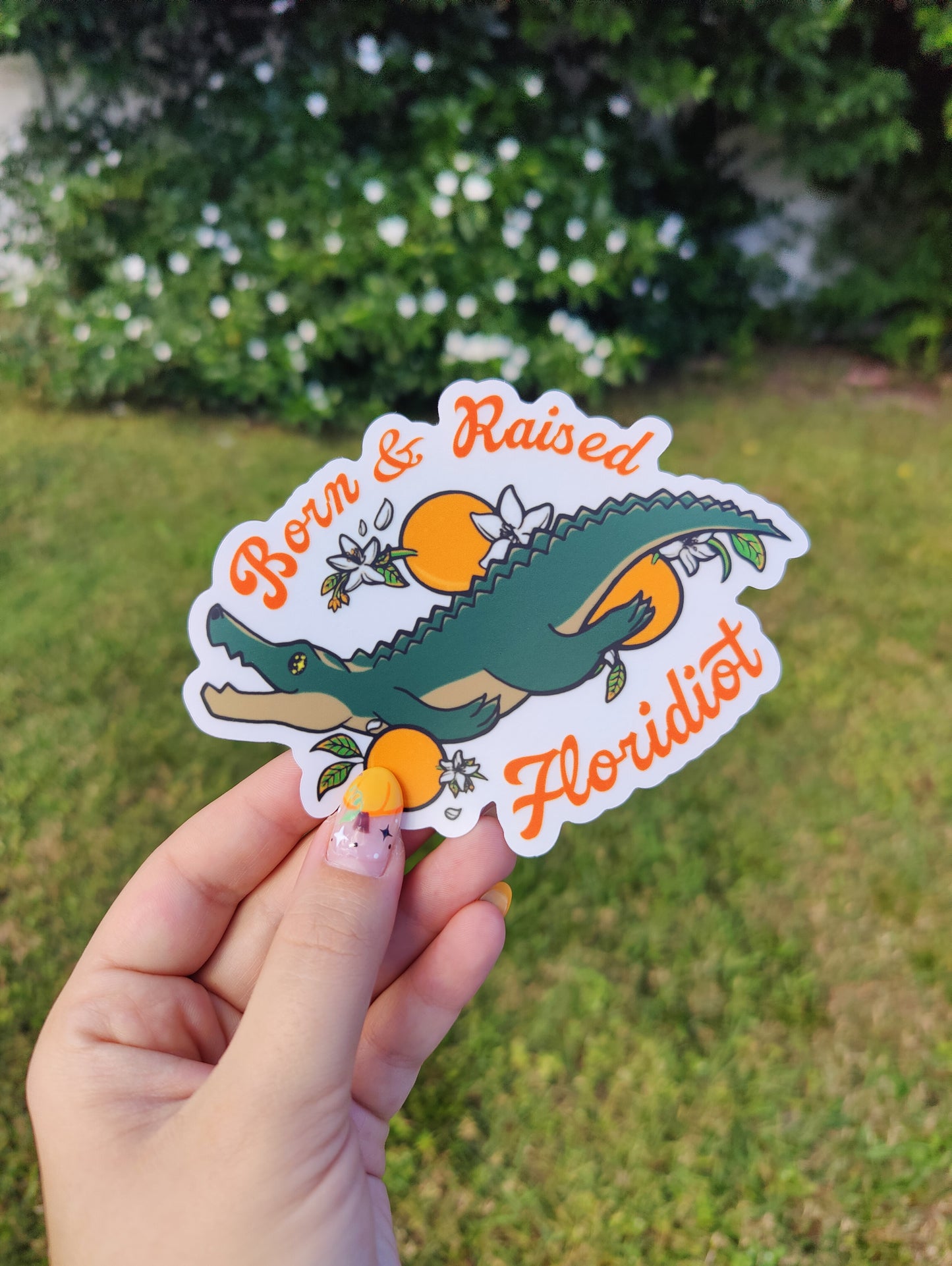 "Born & Raised Floridiot" Alligator 5" Clear Matte Car Sticker