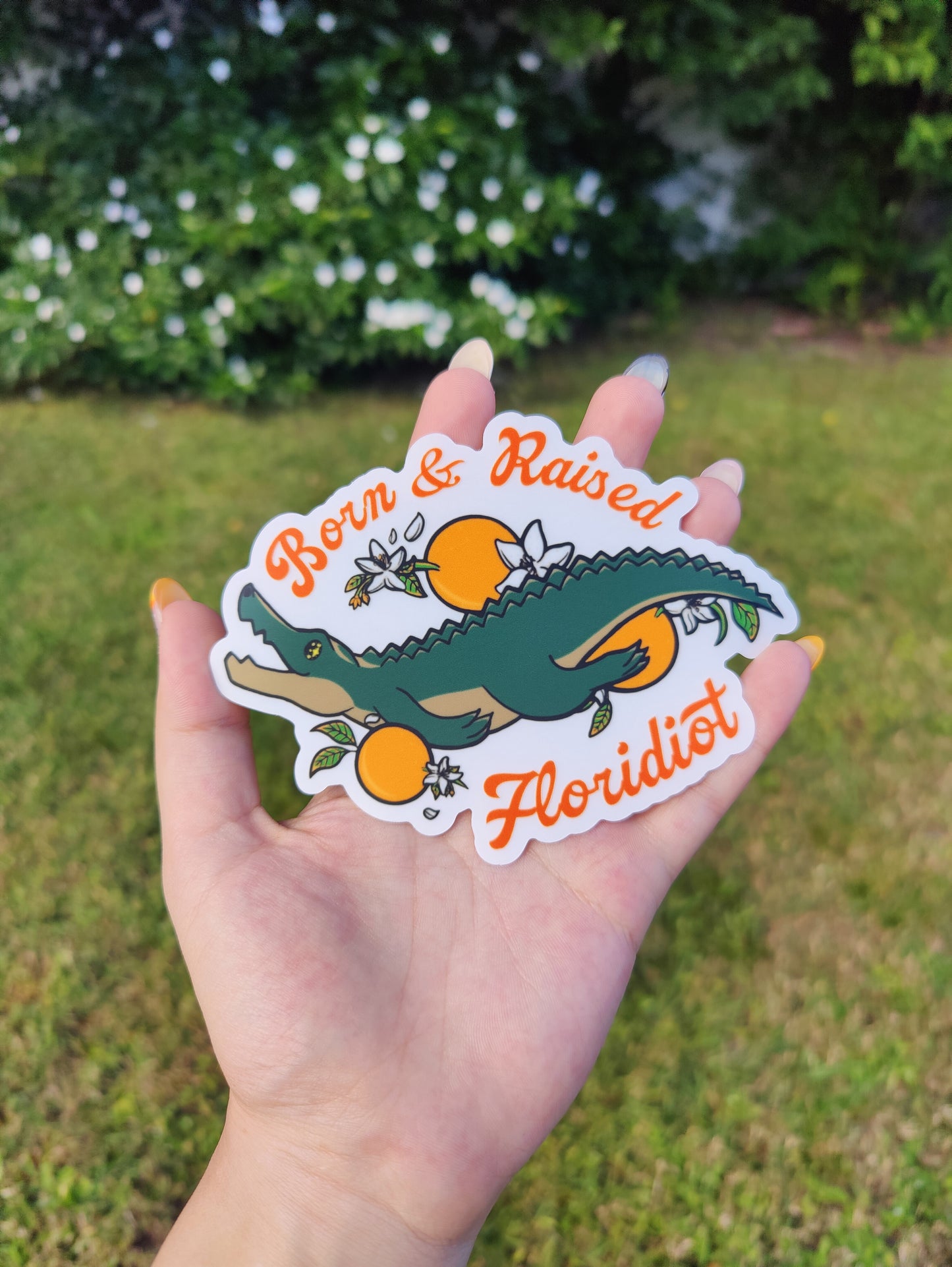 "Born & Raised Floridiot" Alligator 5" Clear Matte Car Sticker