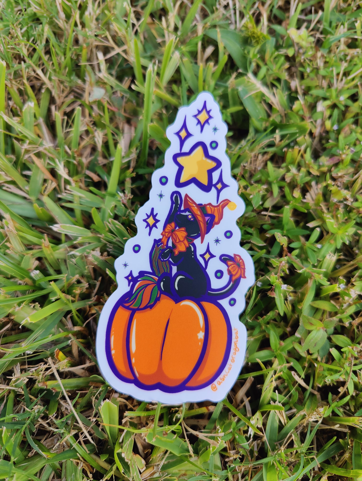 Pumpkin Witch Cat 5" Clear Matte Car Sticker