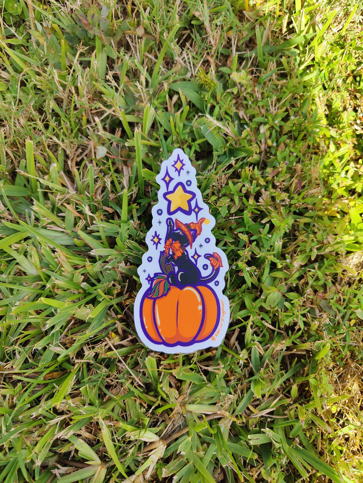 Pumpkin Witch Cat 5" Clear Matte Car Sticker