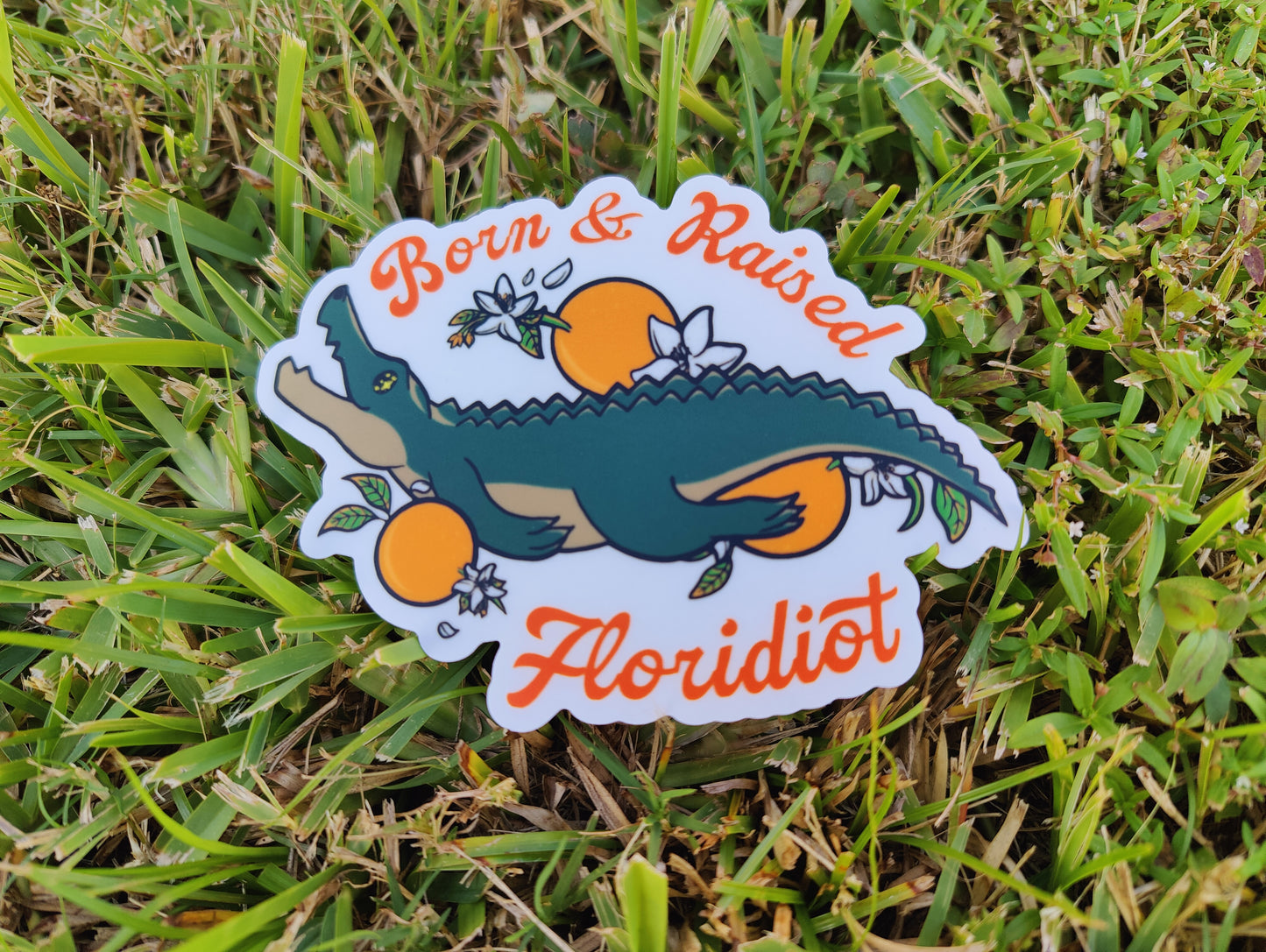 "Born & Raised Floridiot" Alligator 5" Clear Matte Car Sticker