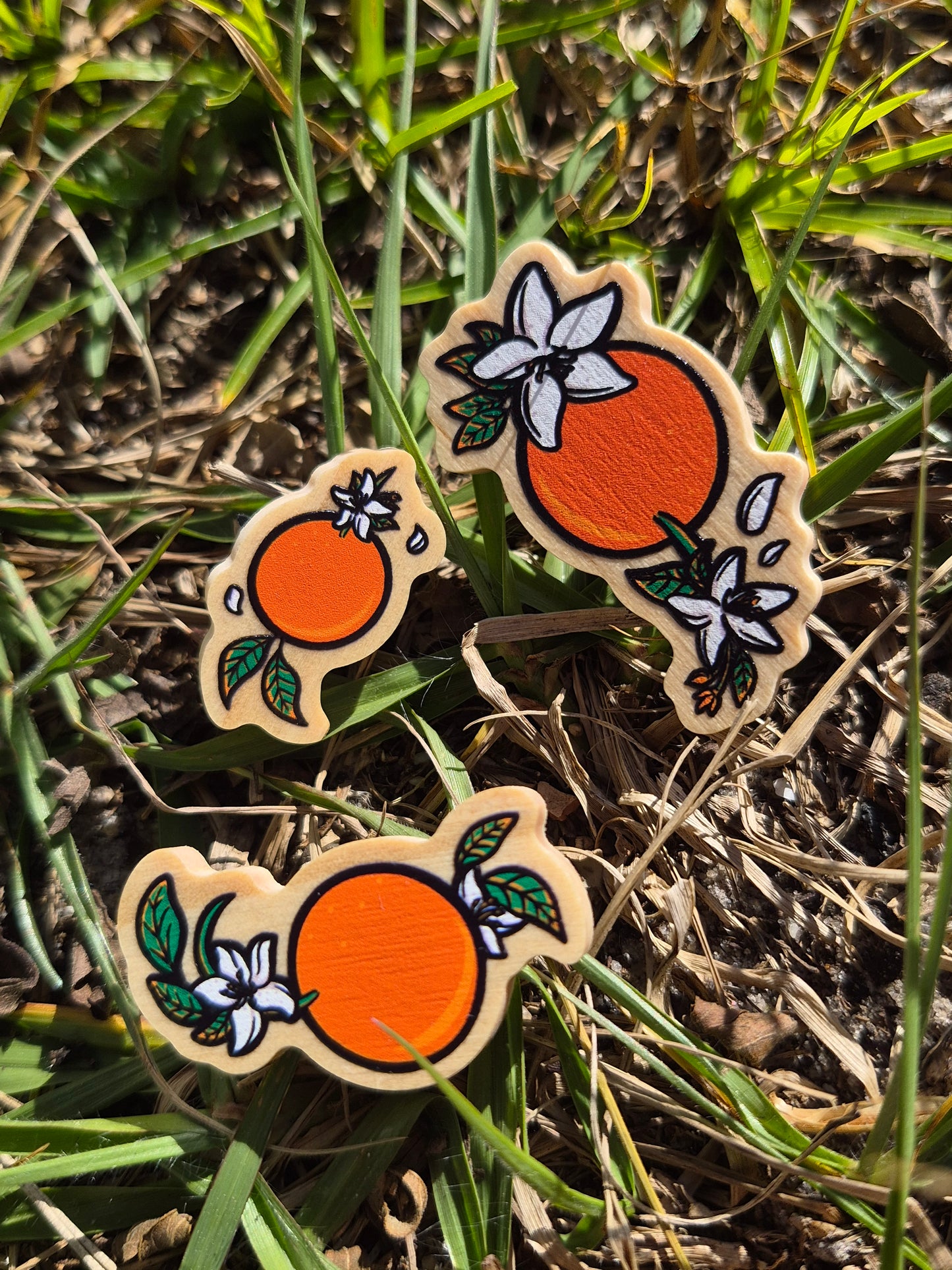 Oranges Wooden Pin Filler Set