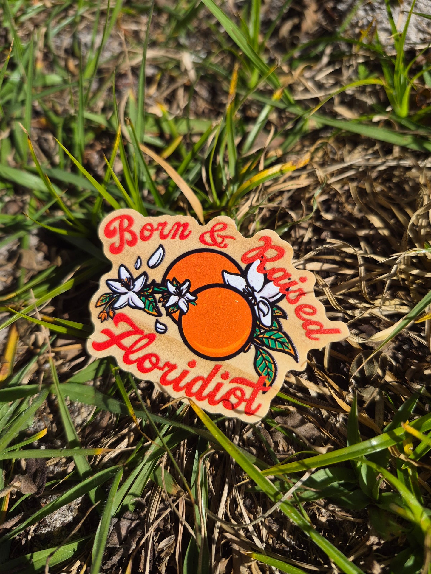 Born & Raised Floridiot 2.5" Wooden Pin Badge