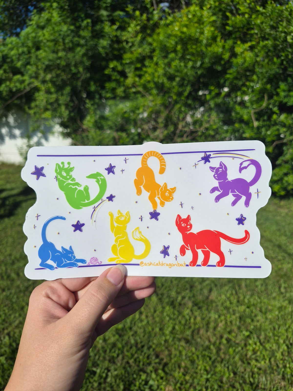 Rainbow Space Cats 8" Clear Matte Sticker